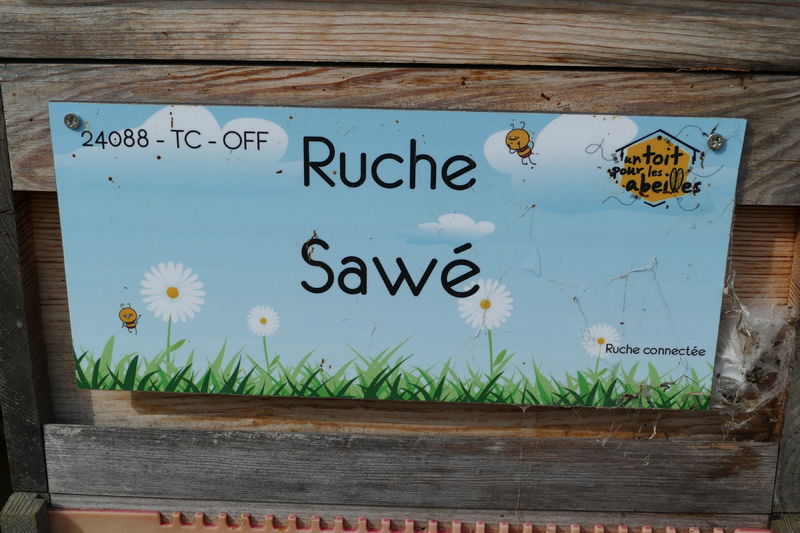 La ruche Sawé