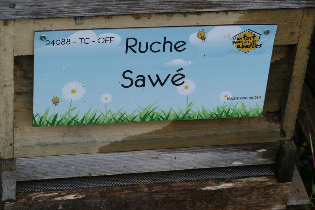 La ruche Sawé