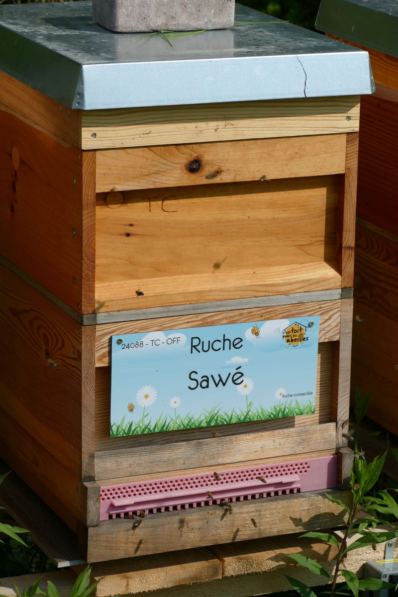 La ruche
