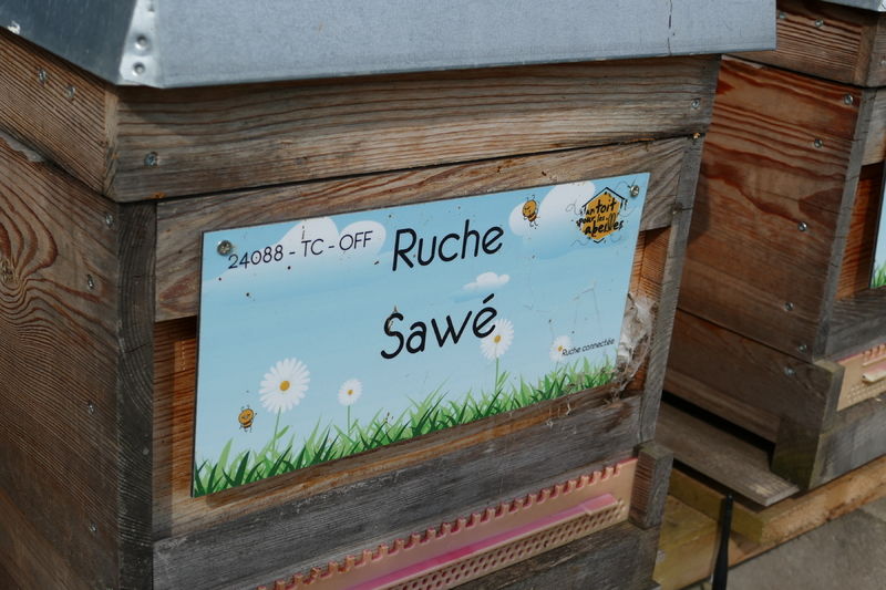 La ruche Sawé