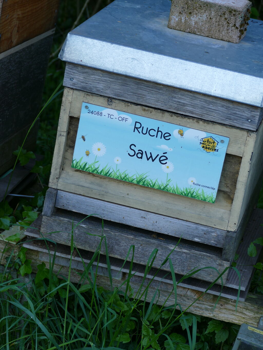 La ruche Sawé