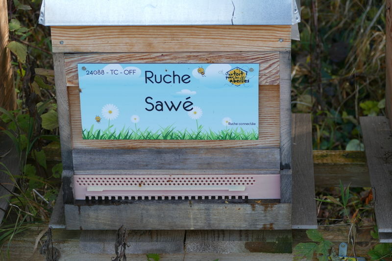 La ruche Sawé