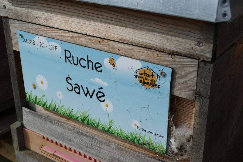 La ruche Sawé