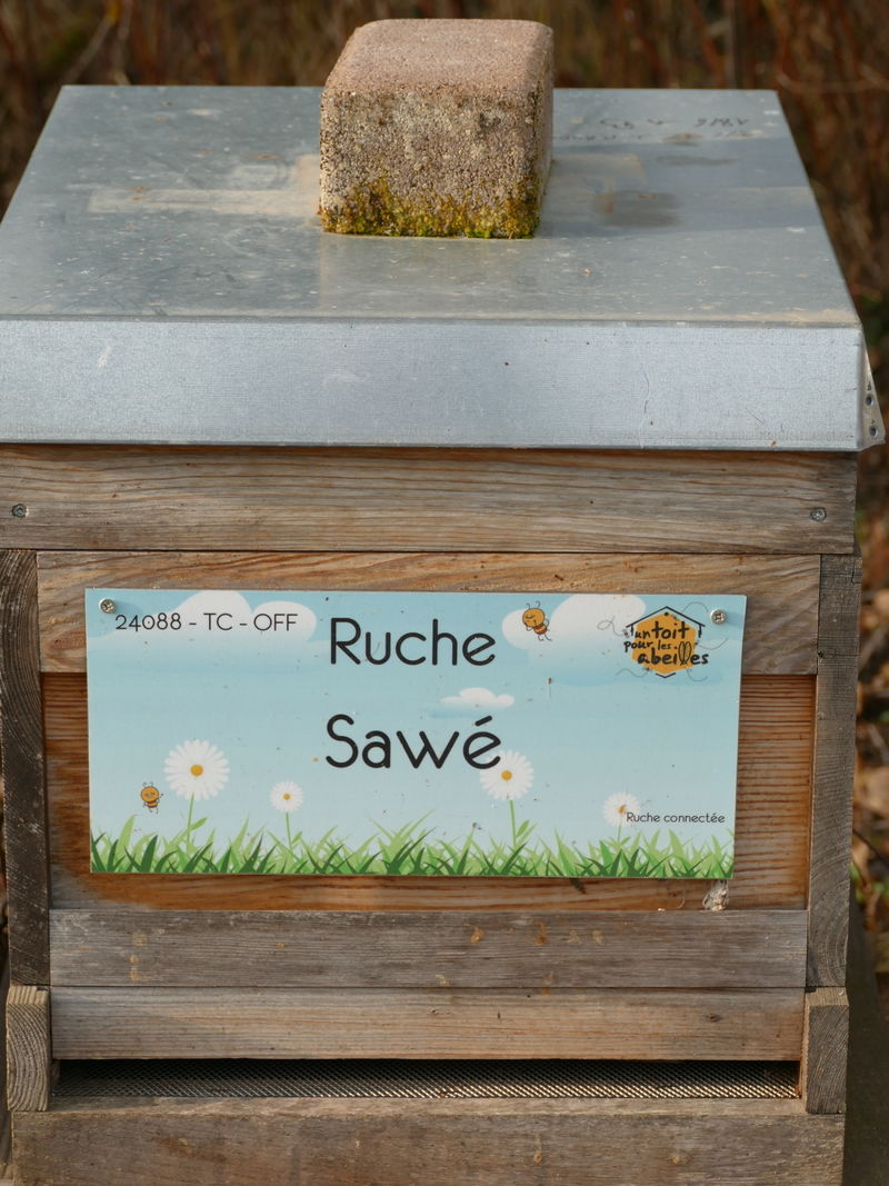 La ruche Sawé