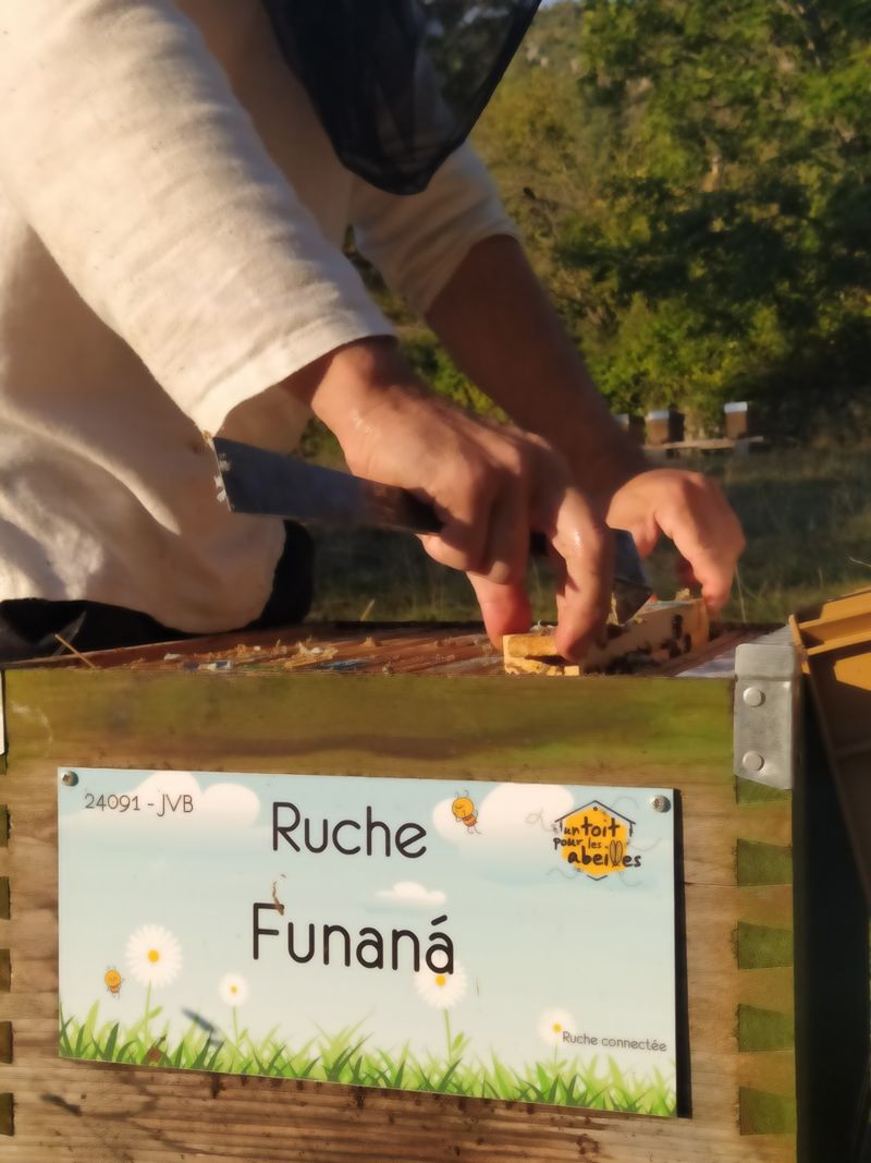 La ruche Funaná