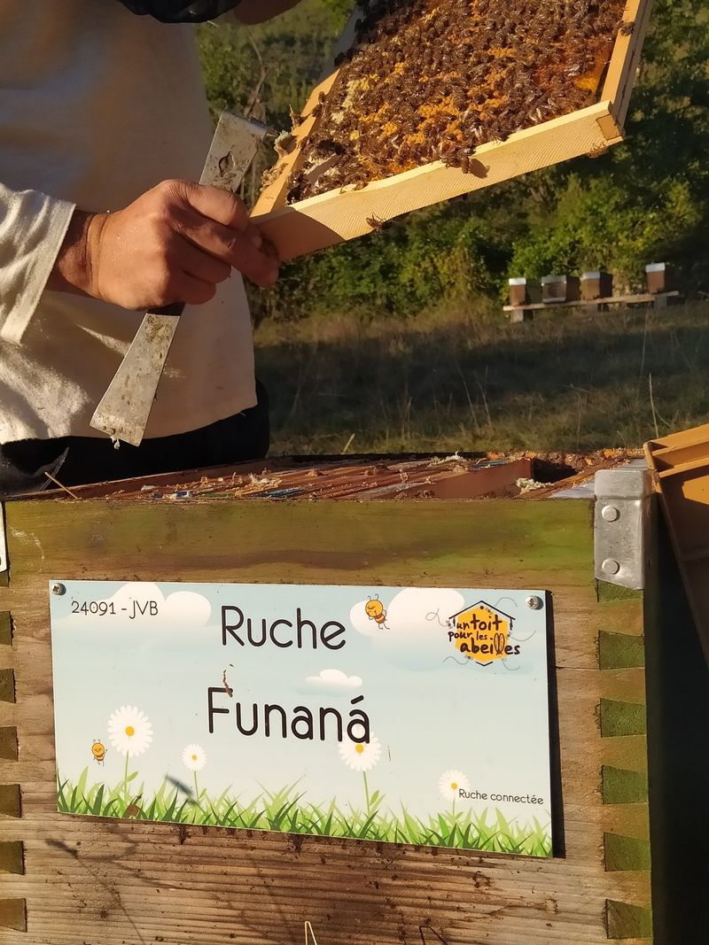 La ruche Funaná