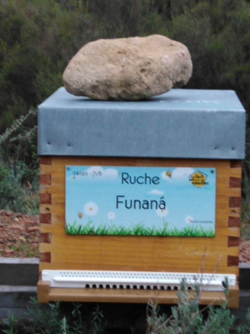 La ruche Funaná