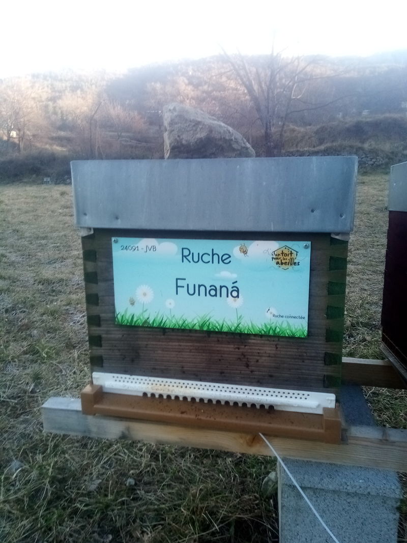 La ruche Funaná