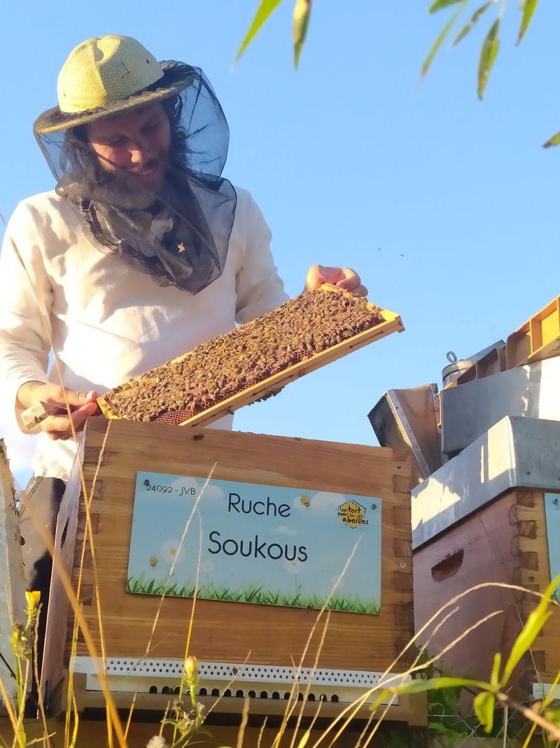 La ruche Soukous