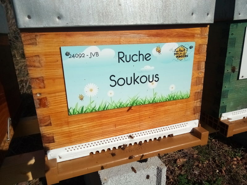La ruche Soukous