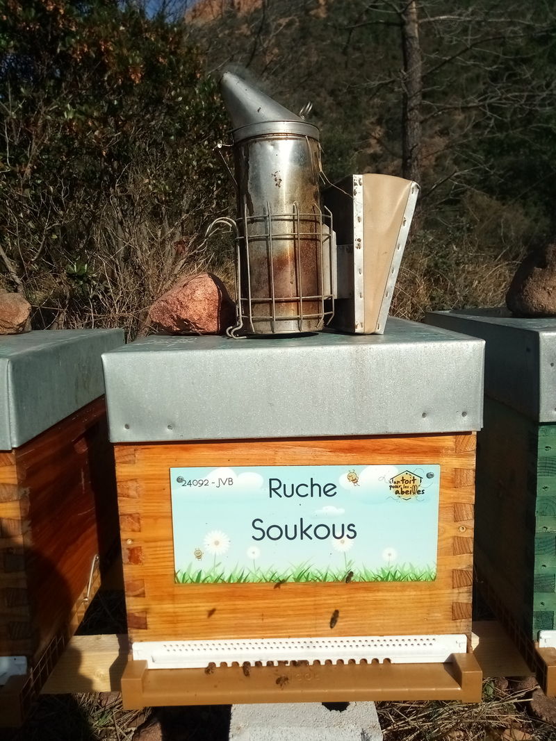 La ruche Soukous