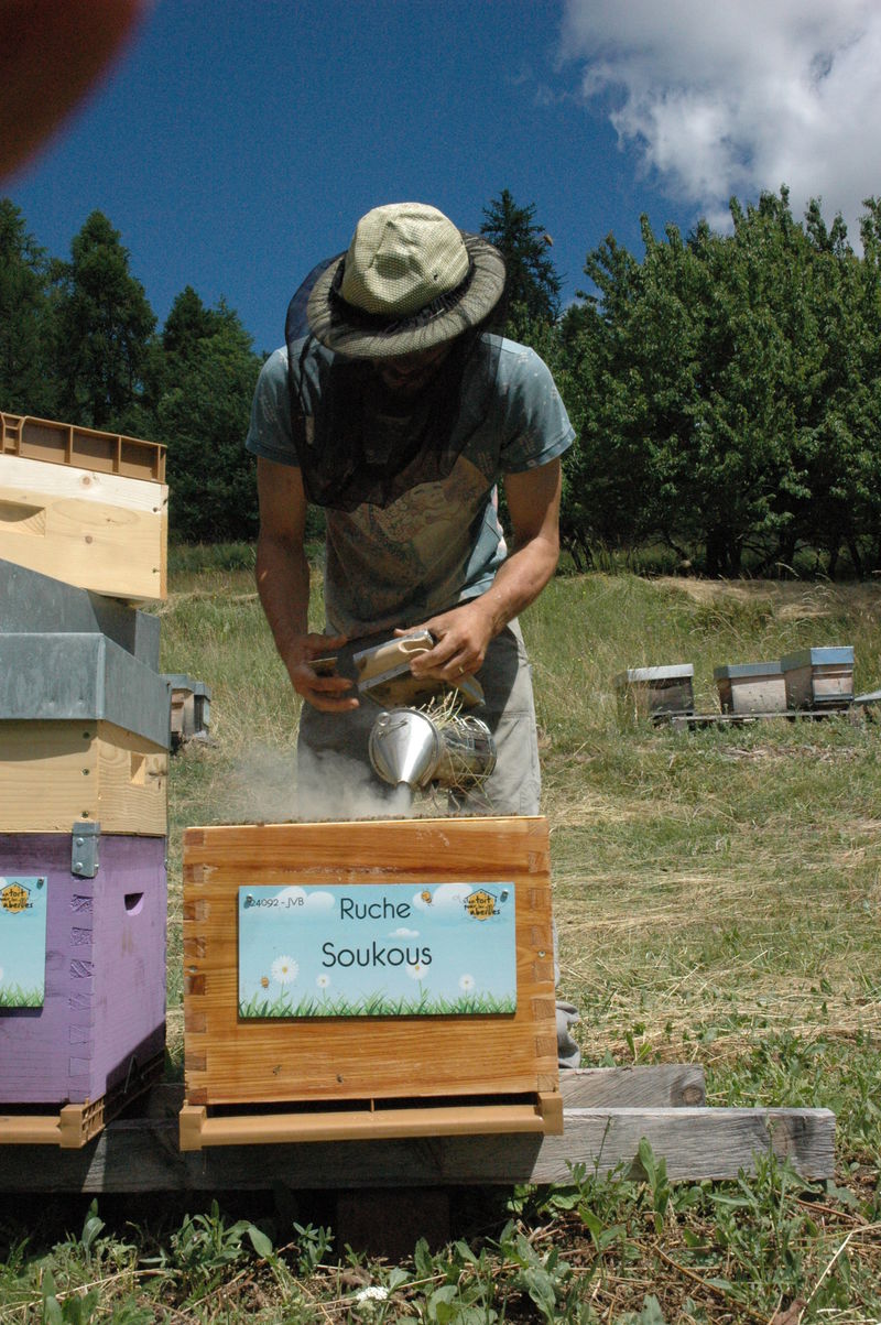 La ruche Soukous
