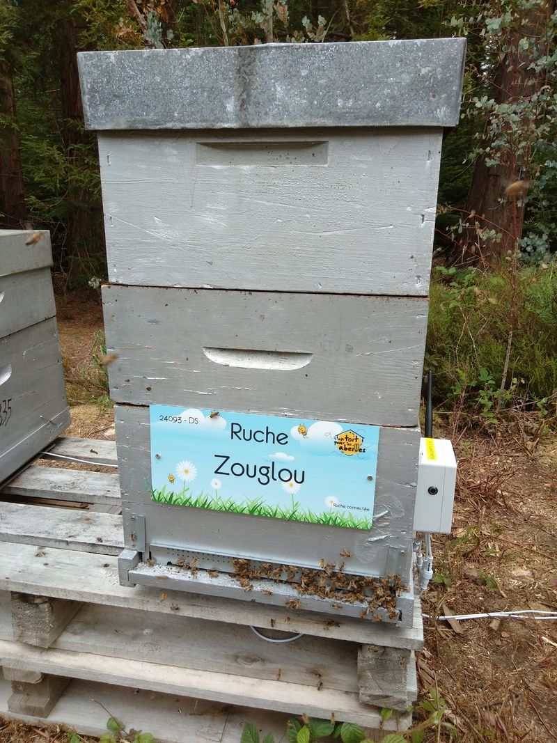 La ruche Zouglou