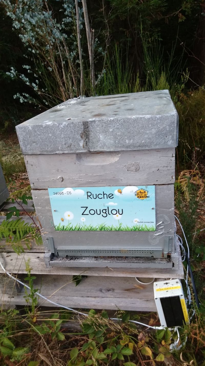 La ruche Zouglou