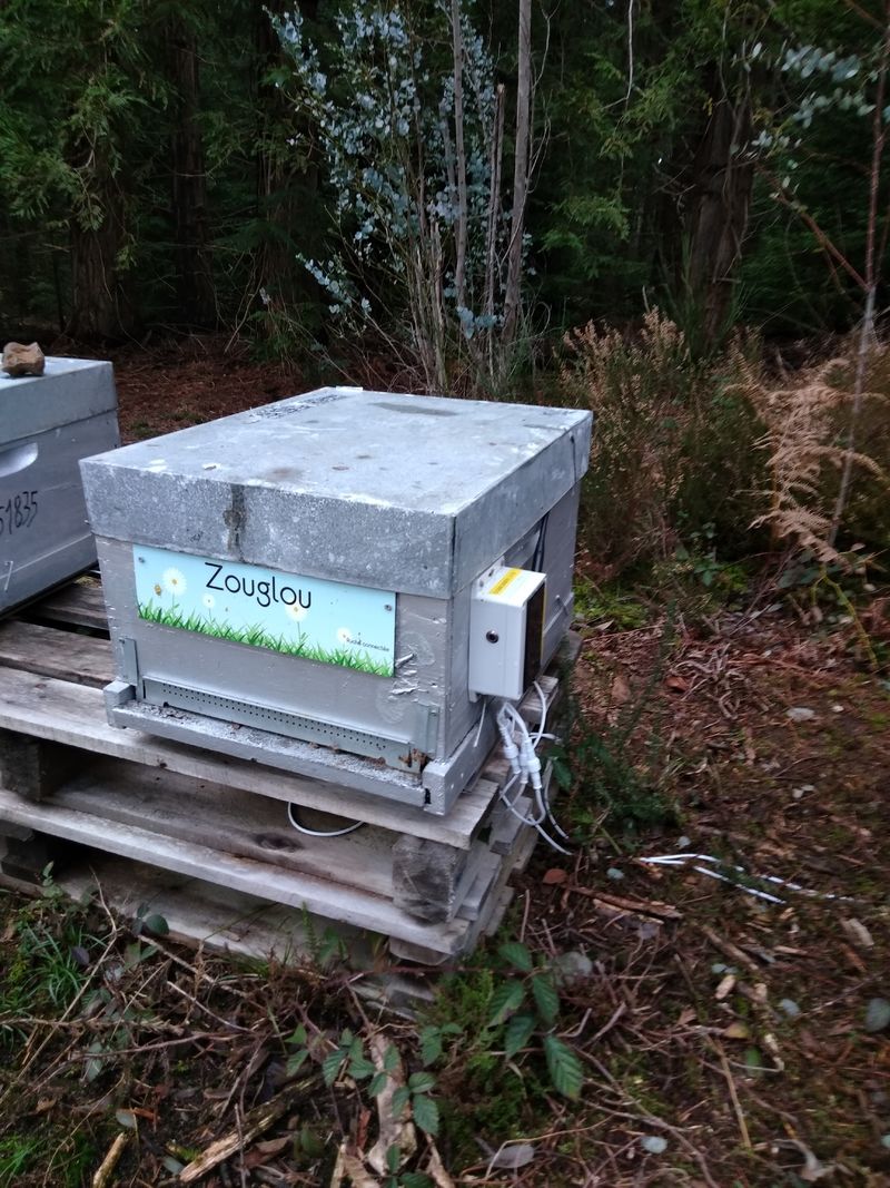 La ruche Zouglou