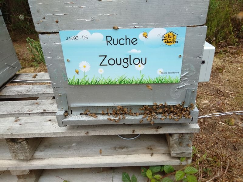 La ruche