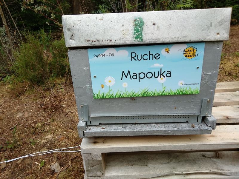 La ruche