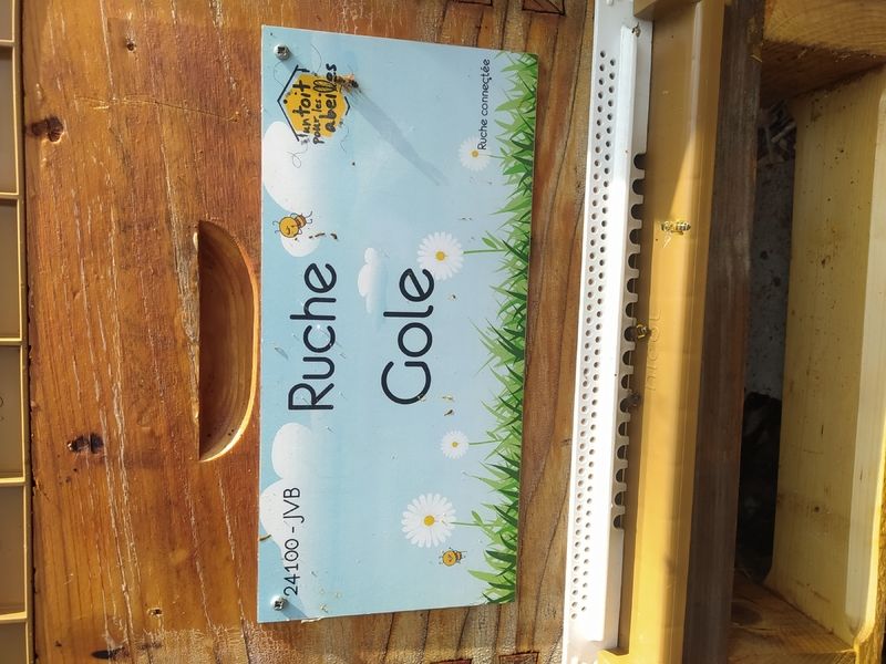 La ruche Gole