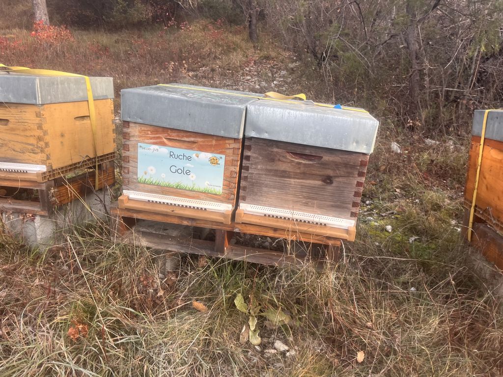 La ruche Gole