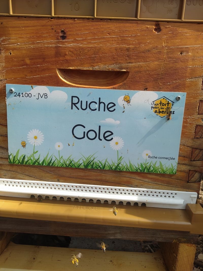 La ruche Gole
