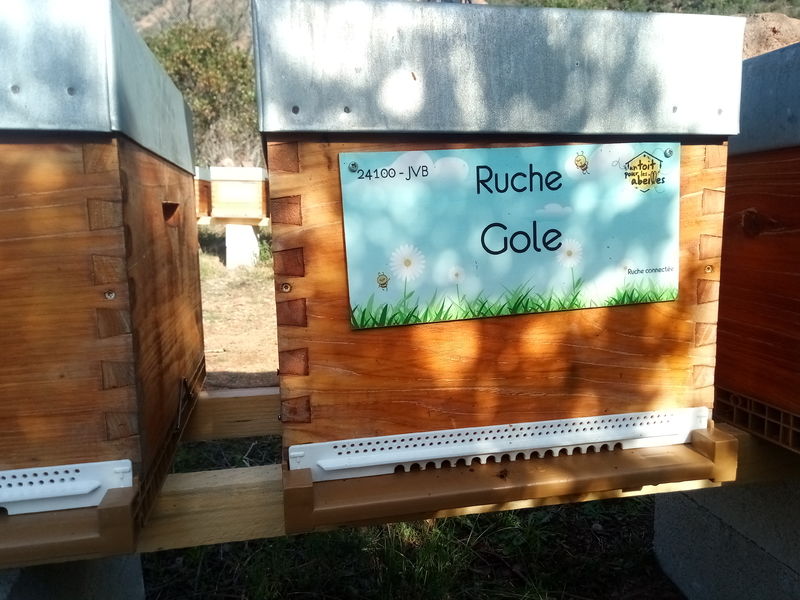 La ruche Gole
