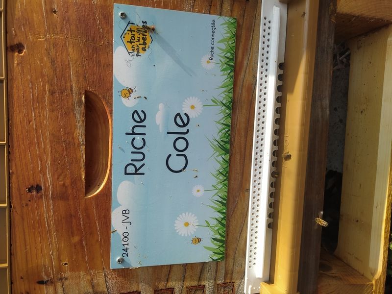 La ruche Gole