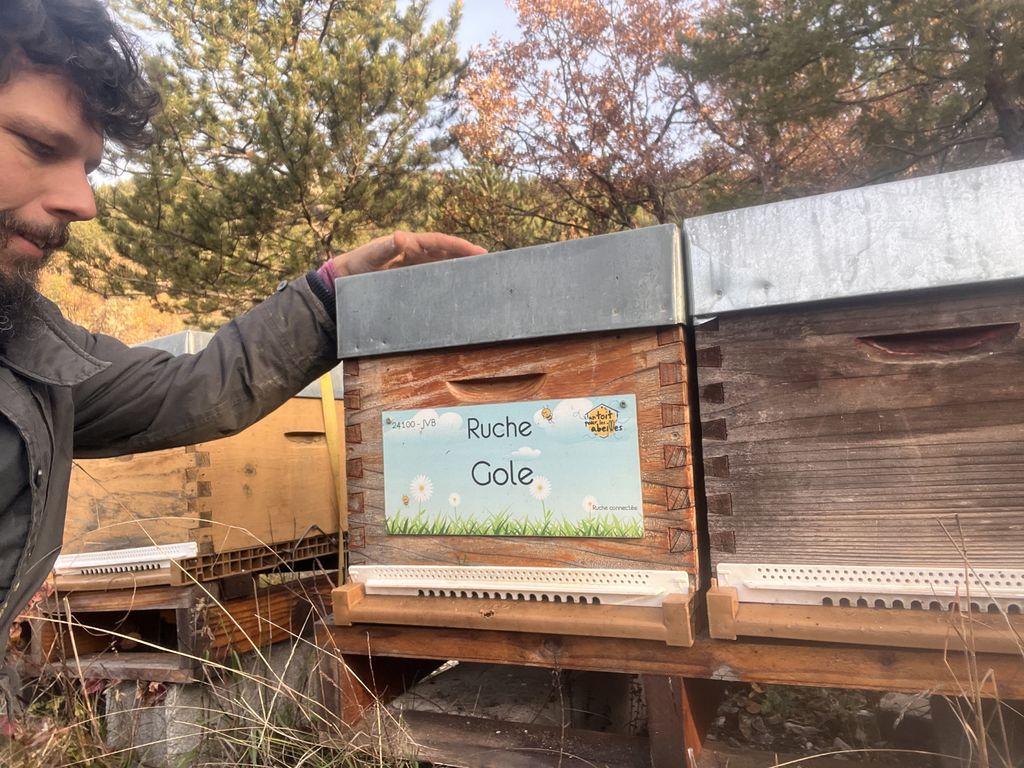 La ruche Gole