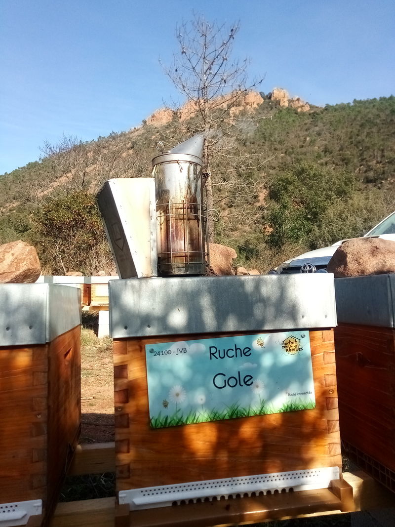 La ruche Gole