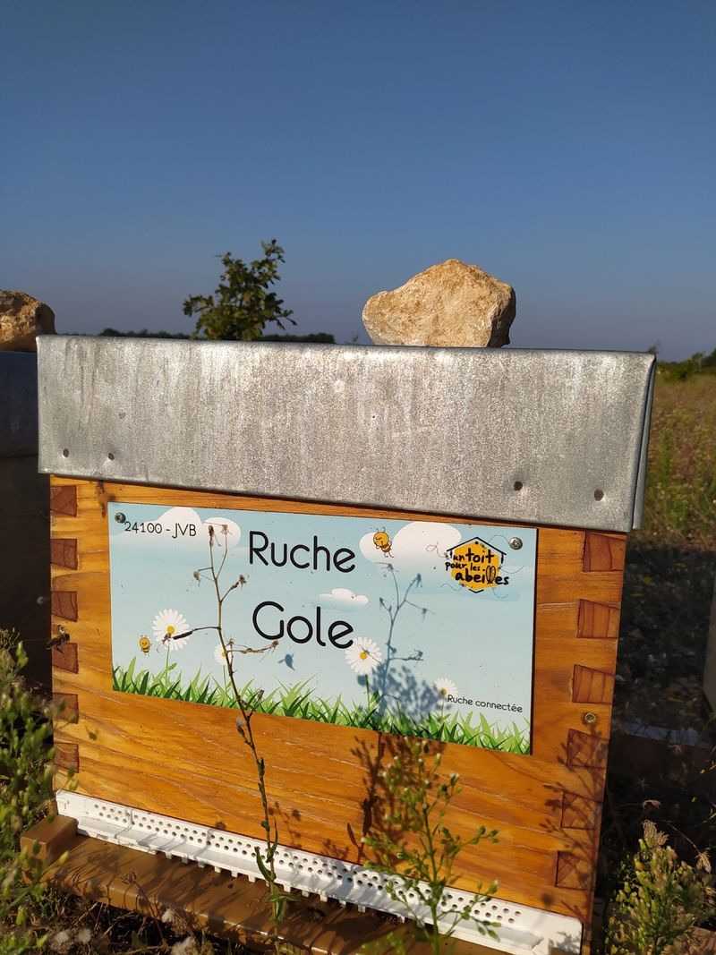 La ruche Gole