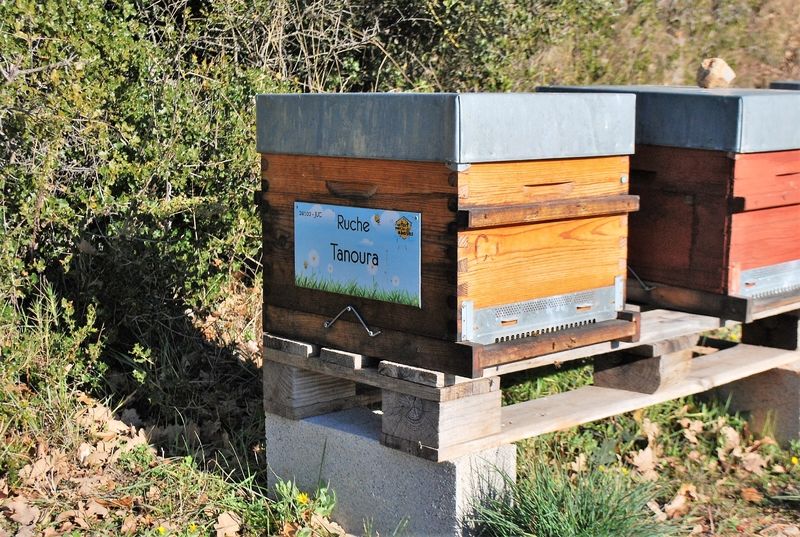 La ruche Tanoura