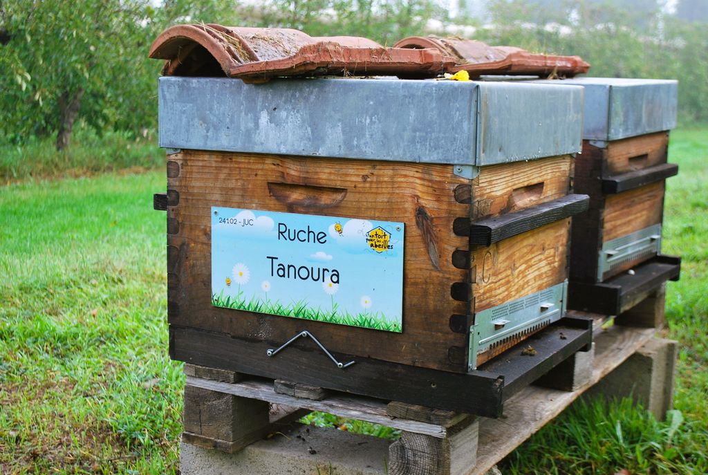 La ruche Tanoura