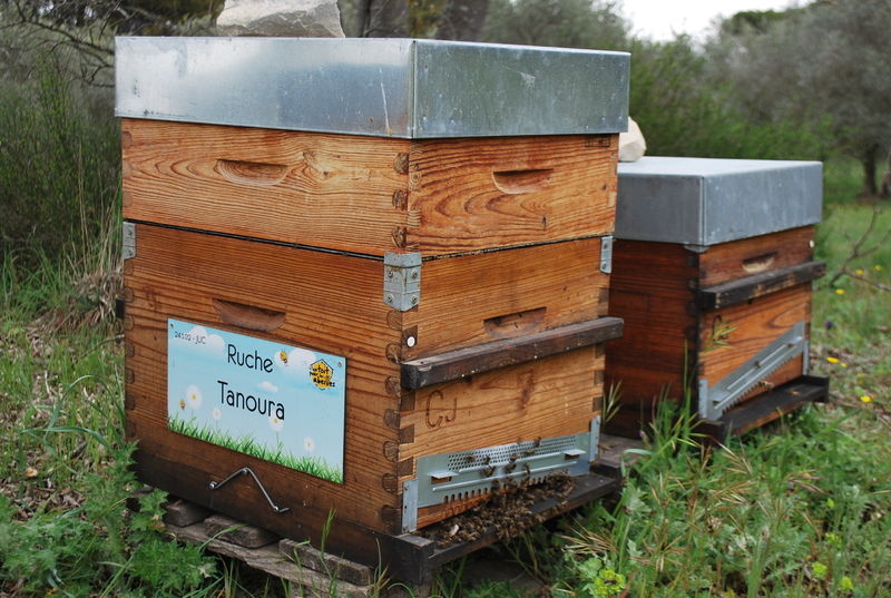 La ruche Tanoura