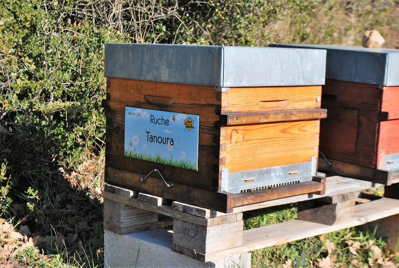 La ruche Tanoura