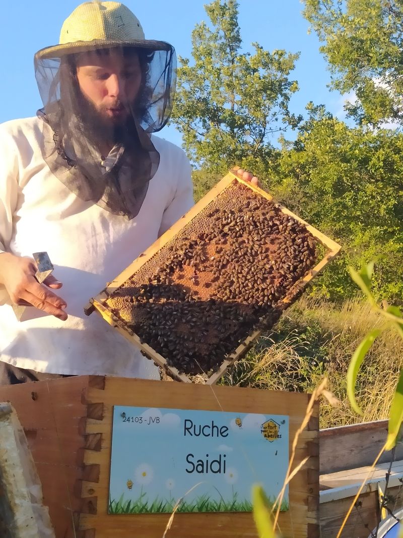 La ruche Saidi