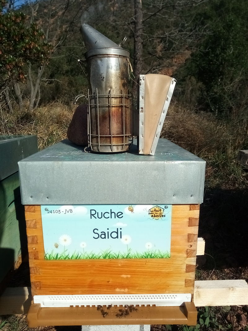La ruche Saidi
