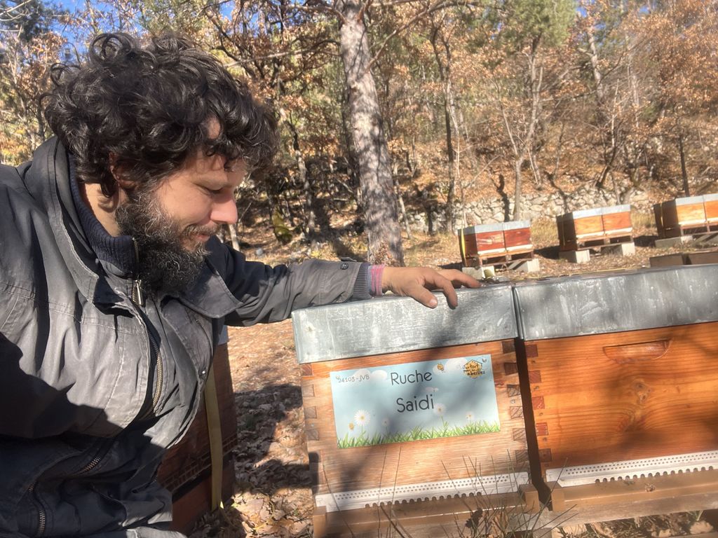 La ruche Saidi