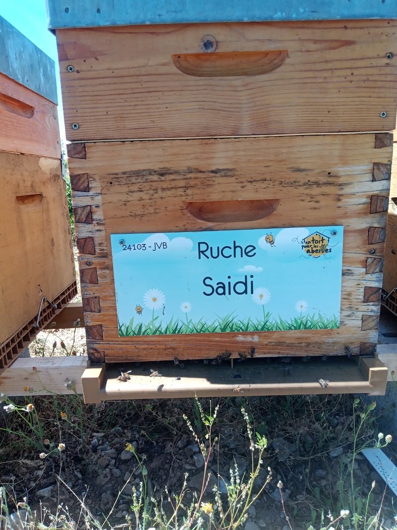 La ruche Saidi