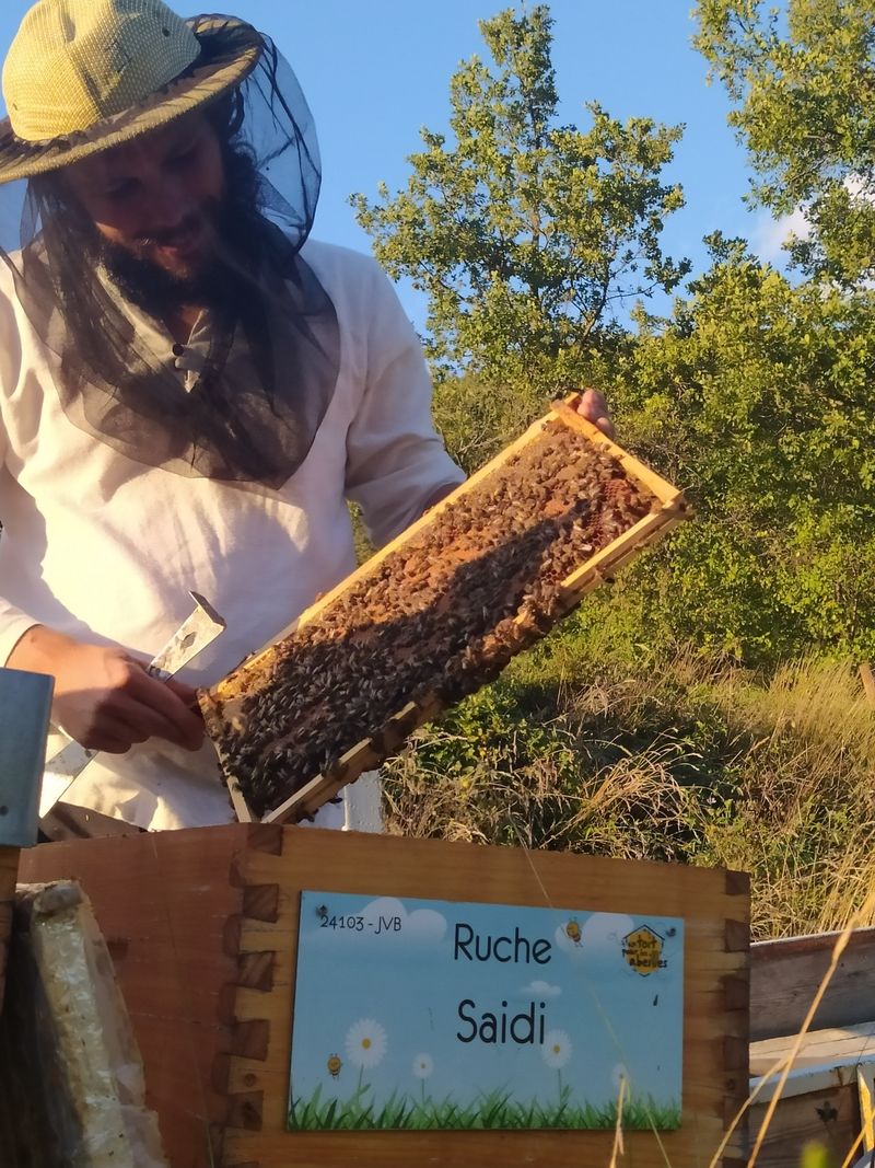 La ruche Saidi