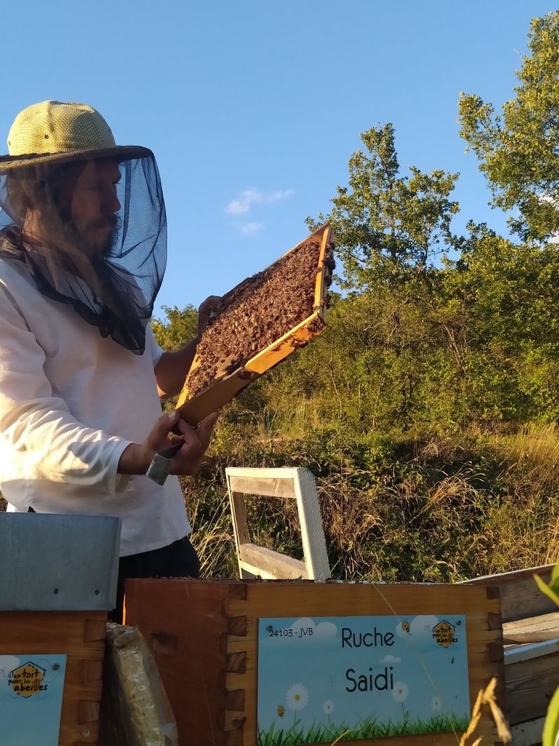 La ruche Saidi