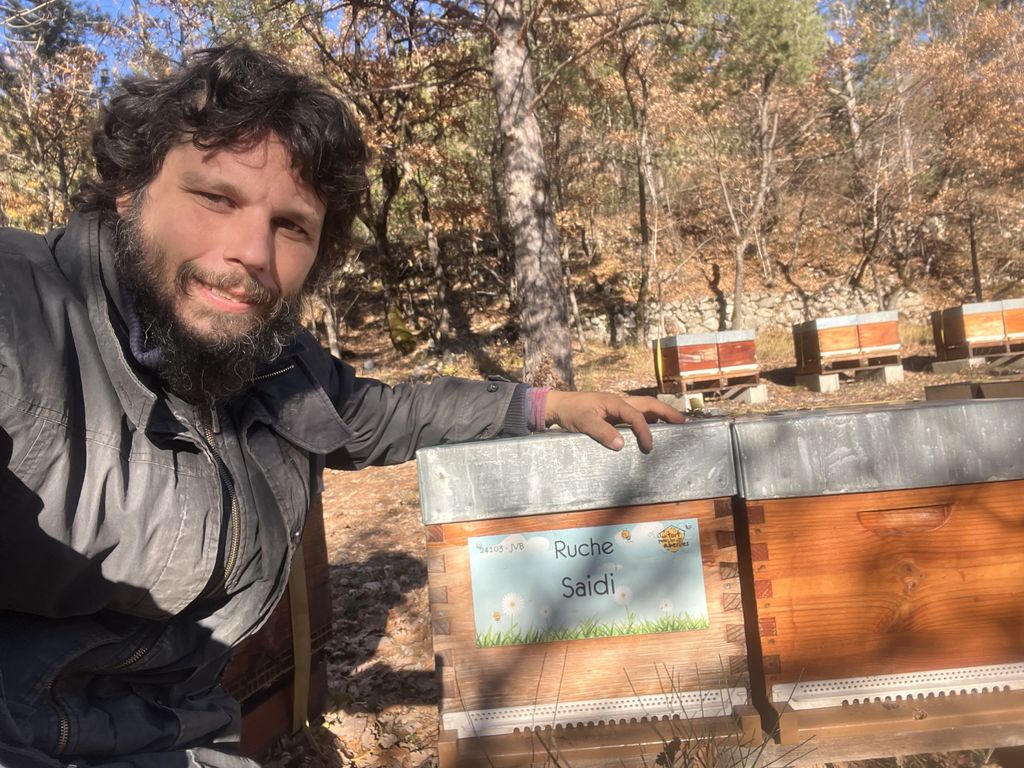 La ruche Saidi