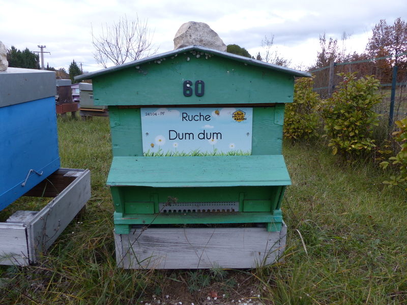 La ruche Dum dum 