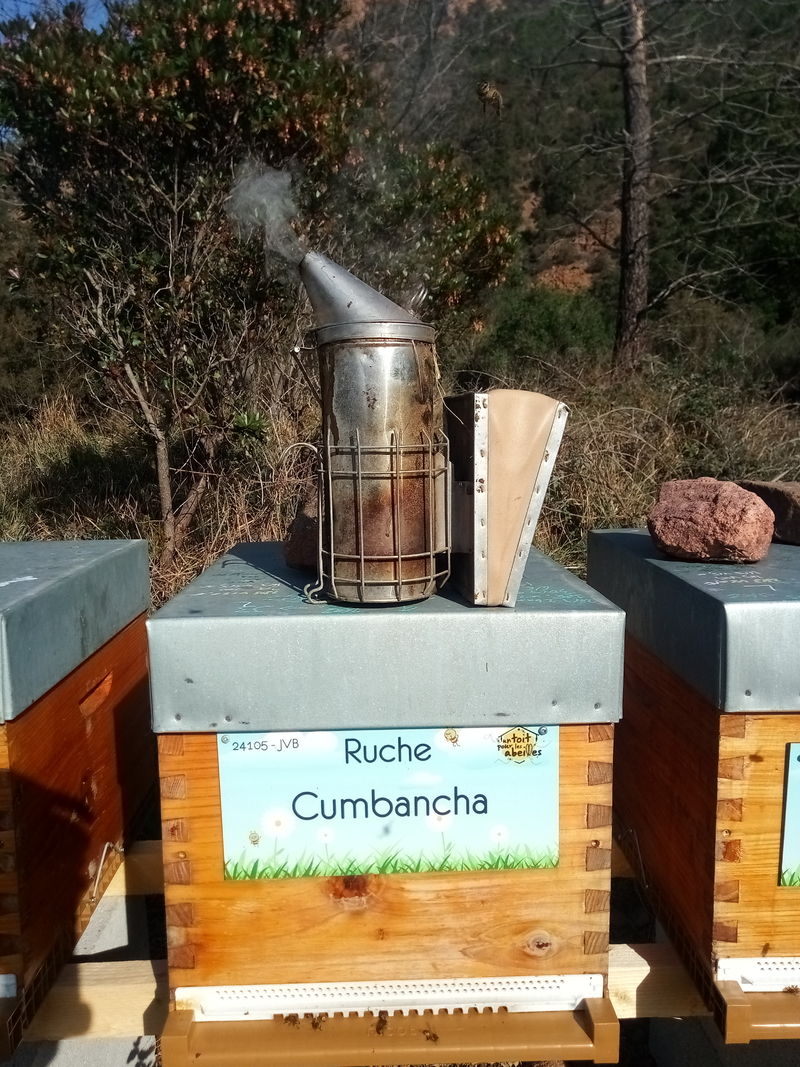 La ruche Cumbancha