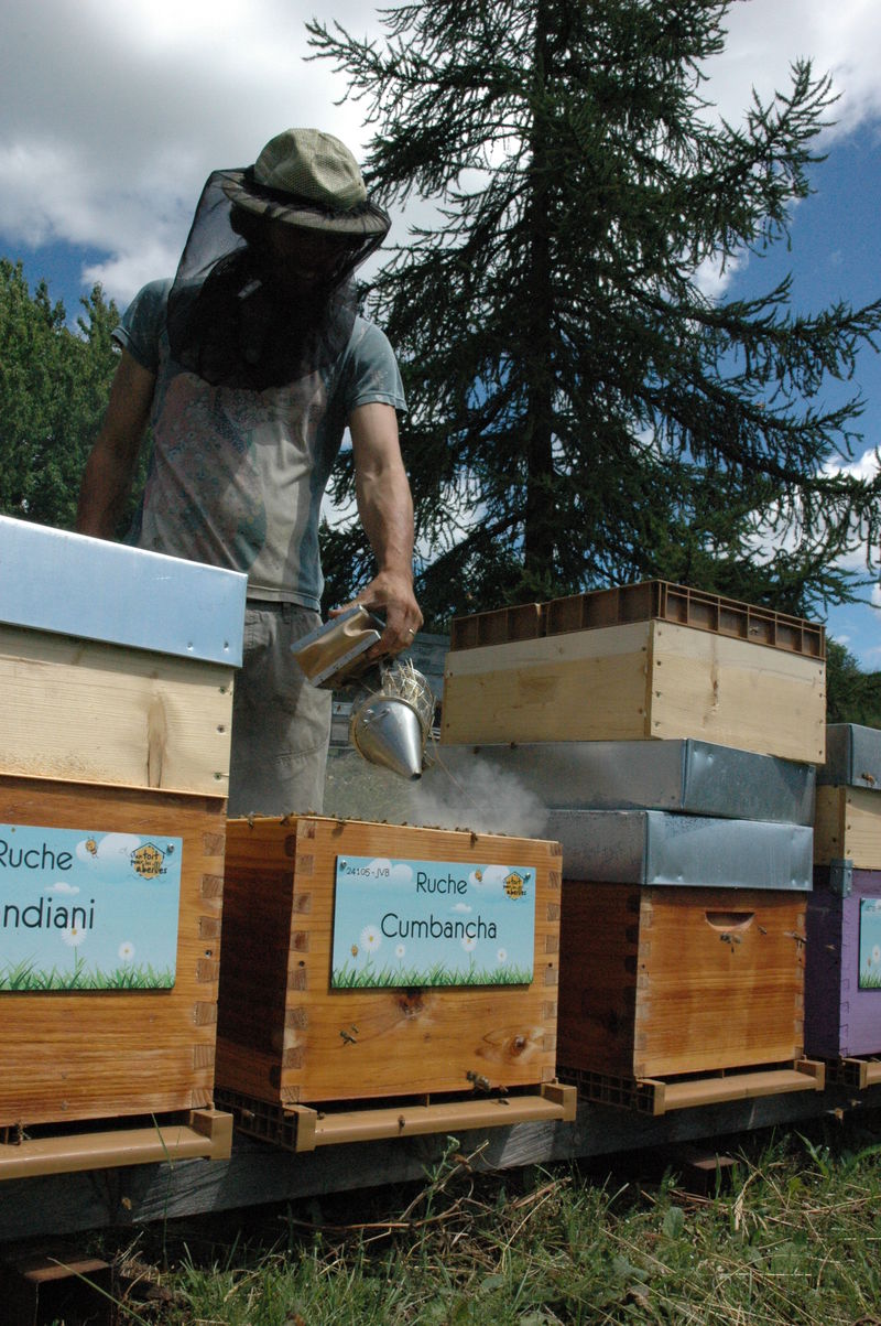 La ruche Cumbancha