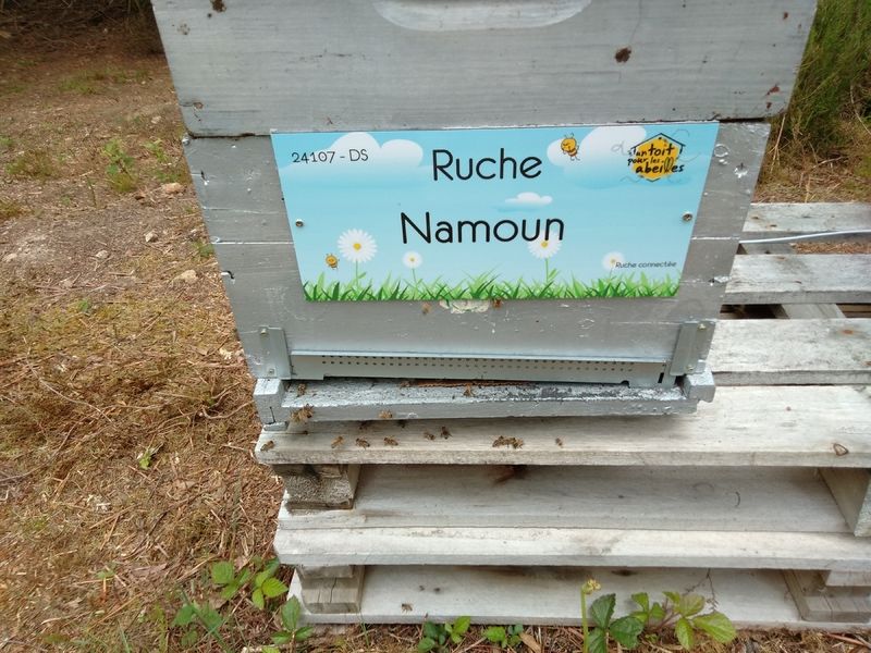 La ruche Namoun 