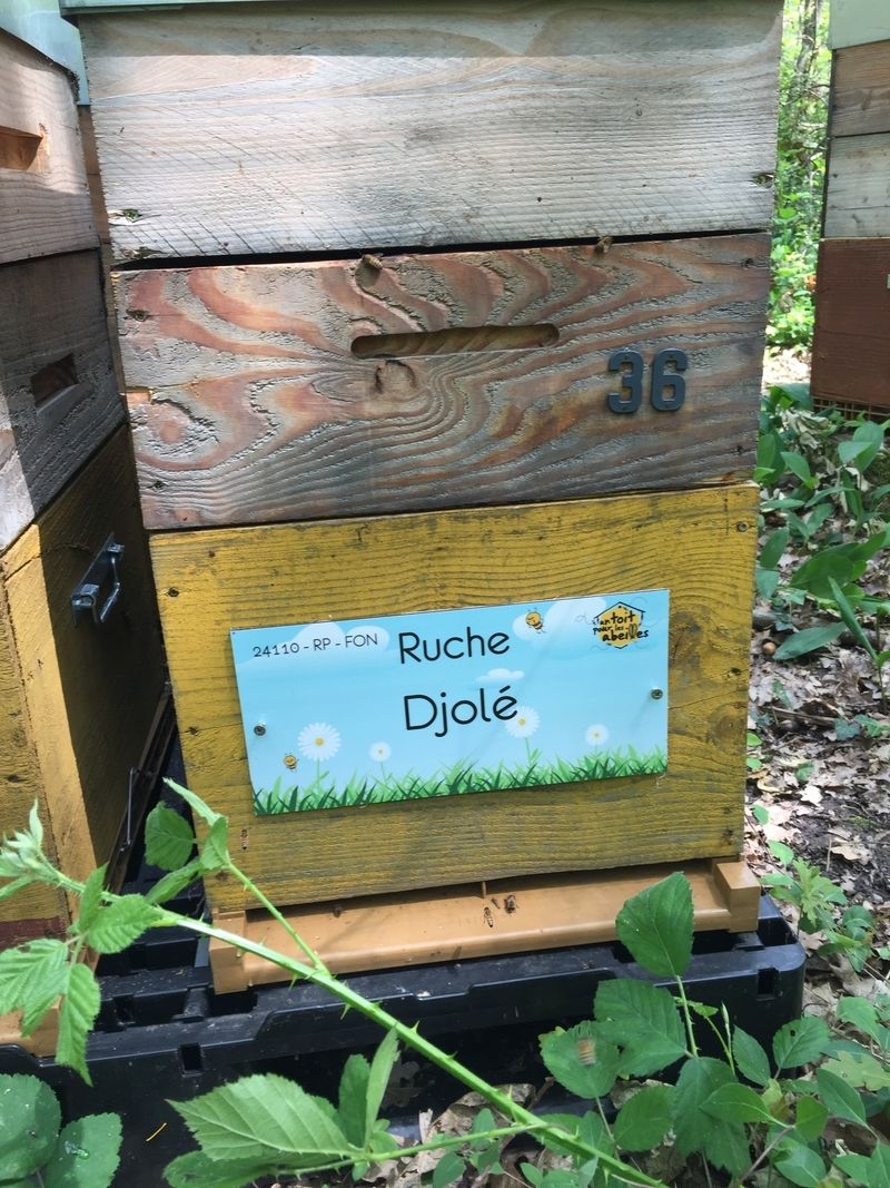 La ruche