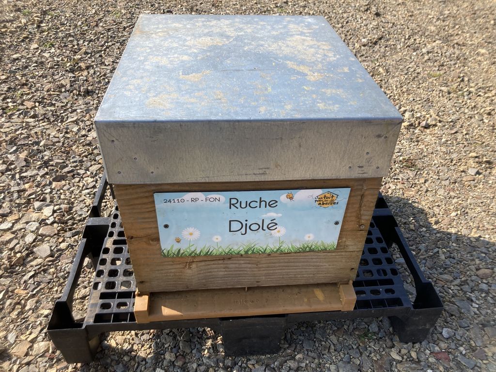 La ruche