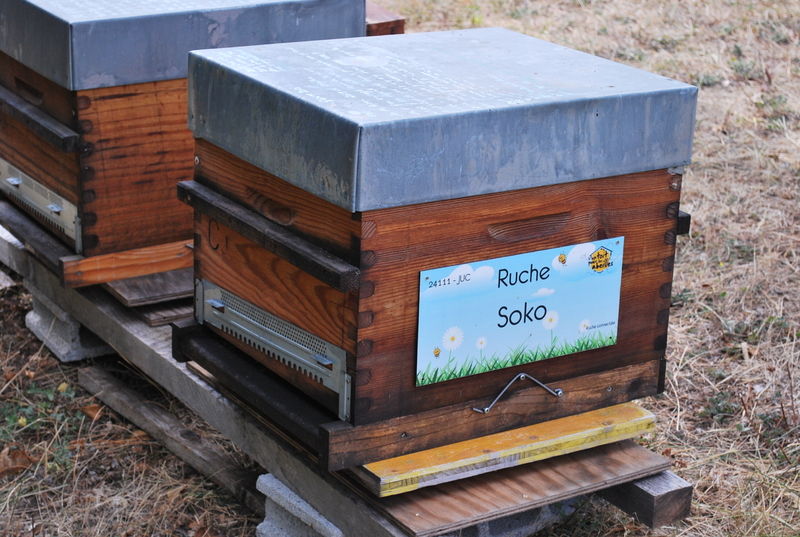 La ruche Soko