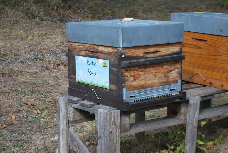 La ruche Soko