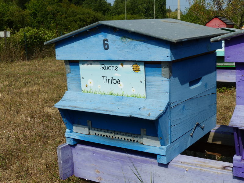 La ruche Tiriba