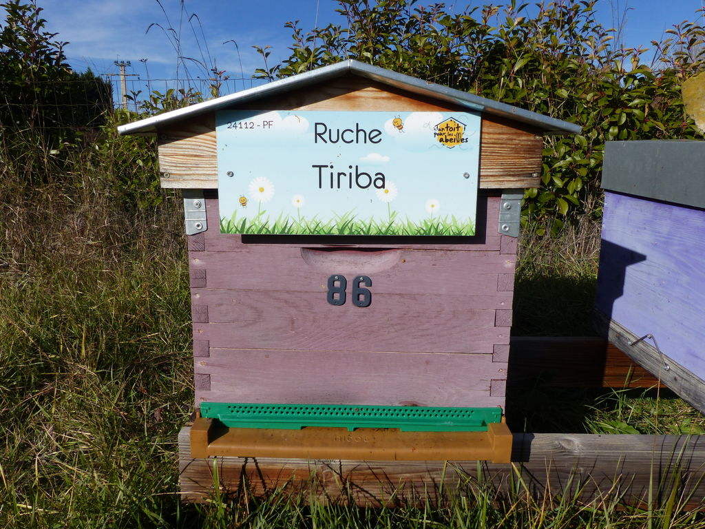 La ruche Tiriba